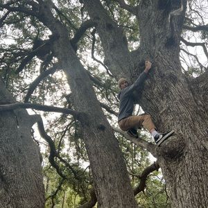 Meet your Posher, Tyler